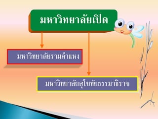 มหาวิทยาลัยรามคาแหง
มหาวิทยาลัยสุโขทัยธรรมาธิราช
มหาวิทยาลัยเปิ ด
 