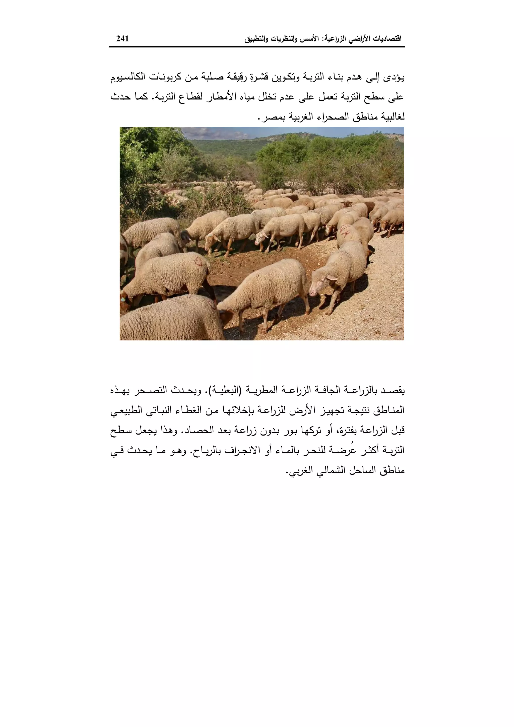 اقتصاديات الأراضي الزراعية