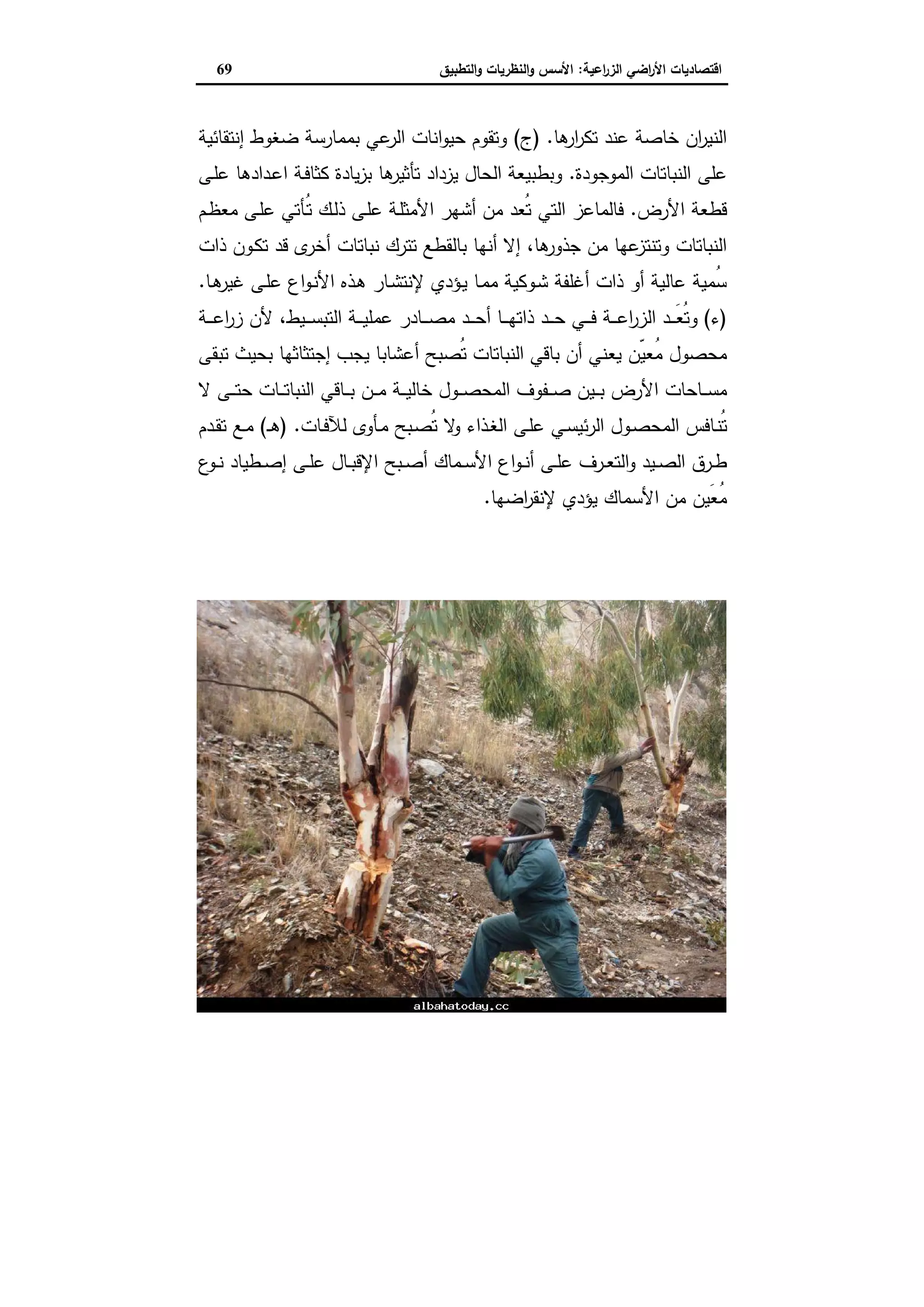 اقتصاديات الأراضي الزراعية