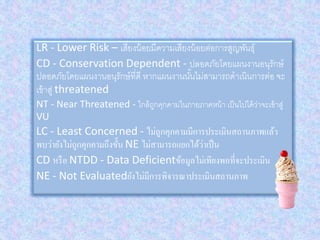 LR - Lower Risk – เสี่ยงน้อยมีความเสี่ยงน้อยต่อการสูญพันธุ์
CD - Conservation Dependent - ปลอดภัยโดยแผนงานอนุรักษ์
ปลอดภัยโดยแผนงานอนุรักษ์ที่ดี หากแผนงานนั้นไม่สามารถดาเนินการต่อ จะ
เข้าสู่ threatened
NT - Near Threatened - ใกล้ถูกคุกคามในภายภาคหน้า เป็นไปได้ว่าจะเข้าสู่
VU
LC - Least Concerned - ไม่ถูกคุกคามมีการประเมินสถานภาพแล้ว
พบว่ายังไม่ถูกคุกคามถึงขั้น NE ไม่สามารถแยกได้ว่าเป็น
CD หรือ NTDD - Data Deficientข้อมูลไม่เพียงพอที่จะประเมิน
NE - Not Evaluatedยังไม่มีการพิจารณาประเมินสถานภาพ
 