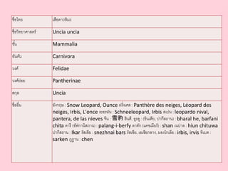 ชื่อไทย เสือดาวหิมะ
ชื่อวิทยาศาสตร์ Uncia uncia
ชั้น Mammalia
อันดับ Carnivora
วงศ์ Felidae
วงศ์ย่อย Pantherinae
สกุล Uncia
ชื่ออื่น อังกฤษ : Snow Leopard, Ounce ฝรั่งเศส : Panthère des neiges, Léopard des
neiges, Irbis, L'once เยอรมัน : Schneeleopard, Irbis สเปน : leopardo nival,
pantera, de las nieves จีน : 雪豹 ฮินดี, อูรดู : (อินเดีย, ปากีสถาน) : bharal he, barfani
chita ดารี (อัฟกานิสถาน) : palang-i-berfy ลาดัก (แคชเมียร์) : shan เนปาล : hiun chituwa
ปากีสถาน : Ikar รัสเซีย : snezhnai bars รัสเซีย, เอเชียกลาง, มองโกเลีย : irbis, irvis ทิเบต :
sarken ภูฏาน : chen
 
