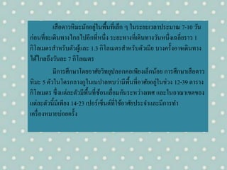 เสือดาวหิมะมักอยู่ในพื้นที่เล็ก ๆ ในระยะเวลาประมาณ 7-10 วัน
ก่อนที่จะเดินทางไกลไปอีกที่หนึ่ง ระยะทางที่เดินทางวันหนึ่งเฉลี่ยราว 1
กิโลเมตรสาหรับตัวผู้และ 1.3 กิโลเมตรสาหรับตัวเมีย บางครั้งอาจเดินทาง
ได้ไกลถึงวันละ 7 กิโลเมตร
มีการศึกษาโดยอาศัยวิทยุปลอกคอเพียงเล็กน้อย การศึกษาเสือดาว
หิมะ 5 ตัวในโตรกลางกูในเนปาลพบว่ามีพื้นที่อาศัยอยู่ในช่วง 12-39 ตาราง
กิโลเมตร ซึ่งแต่ละตัวมีพื้นที่ซ้อนเลื่อมกันระหว่างเพศ และในอาณาเขตของ
แต่ละตัวนี้มีเพียง 14-23 เปอร์เซ็นต์ที่ใช้อาศัยประจาและมีการทา
เครื่องหมายบ่อยครั้ง
 