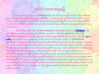 หลักการและทฤษฎี
การสูญพันธุ์ (อังกฤษ: Extinction) ในทางชีววิทยาและนิเวศวิทยา คือการสิ้นสุด
ของการดารงอยู่ของสปีชีส์หรือกลุ่มของสิ่งมีชีวิต (ตามอนุกรมวิธาน) ซึ่งทาให้ความหลากหลาย
ทางชีวภาพลดลง โดยทั่วไปแล้ว ถือว่าชั่วขณะของการสูญพันธุ์คือชั่วขณะความตายของสิ่งมีชีวิต
ตัวสุดท้ายในสปีชีส์นั้น แม้ว่าความสามารถในการผสมพันธุ์และฟื้นตัวอาจจะสูญเสียไปแล้วก่อน
หน้านั้นก็ตาม
เสือดาวหิมะ (อังกฤษ: Snow leopard, Ounce) สัตว์ในวงศ์ Felidae ชนิด
หนึ่ง ที่มีสถานภาพใกล้สูญพันธุ์แล้ว มีชื่อวิทยาศาสตร์ว่า Uncia uncia (บางข้อมูลใช้
Panthera uncia) นับเป็นสัตว์ชนิดเดียวที่อยู่ในสกุล Uncia มีขนยาวหนาแน่น สีพื้นเทาอม
เหลือง บริเวณสีข้างจะอมเหลืองจาง ๆ มีลายดอกเข้มทั่วตัวคล้ายเสือดาว (Panthera
pardus) ช่วยให้ดูกลมกลืนกับสภาพแวดล้อมที่อาศัยซึ่งเป็นภูเขาหินและหิมะปกคลุม ลายดอก
บริเวณหลังและสีข้างมีขนาดใหญ่ ส่วนบริเวณหัวและขาเป็นลายจุดขนาดเล็ก บริเวณคาง อก และ
ท้องเป็นสีขาวปลอดไม่มีลาย ลายบริเวณหลังและสีข้างจะจางกว่าบริเวณอื่นซึ่งต่างจากเสือลายจุด
ชนิดอื่นที่มักมีลายที่หลังเข้มกว่า หางด้านบนจะเป็นวงสีดา ด้านล่างของหางเป็นจุดจาง ๆ
เปรียบเทียบลายดอกของเสือดาวหิมะกับของเสือดาวแล้ว ดอกของเสือดาวหิมจะห่างกันมากกว่า
และไม่คมชัดเท่า มีกล้ามเนื้อหน้าอกและหัวไหล่ที่แข็งแรง อุ้งเท้ากว้างแข็งแรงและปกคลุมด้วยขน
ช่วยให้เพิ่มพื้นที่ผิวและกระจายน้าหนักตัวลงบนหิมะได้อย่างสม่าเสมอ และช่วยปกป้ องอุ้งเท้าจาก
ความเย็นของหิมะได้ดี มีโพรงจมูกใหญ่ที่มีลักษณะพิเศษช่วยให้อากาศที่เย็นเปลี่ยนเป็นอุ่น ก่อนที่
จะสูดหายใจเข้าไปในปอด และมีหางยาวที่ขนฟูสามารถพันรอบตัวเพื่อป้ องกันความหนาวได้
เหมือนผ้าพันคอ
 