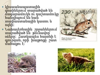  կիսաանապատային
գոտիներում տարածված են
ճագարամուկն ու դաշտամուկը
հանդիպում են նաև
տափաստանային կատու և
ոզնի:
 Նախալեռնային շրջաններում
տարածված են թունավոր
օձերը: Հատկապես հայտնի է
գյուրզան, որի խայթոցը շատ
մահացու է:
 