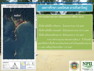 ผลการศึกษา แหลโตนด เกาะลันตาใหญ่
จากการแปลภาพถ่ายดาวเทียมผลของการศึกษา พบว่า
- พื้นที่ชายฝั่งที่มีการกัดเซาะ มีระยะทางรวม 278 เมตร
- พื้นที่ชายฝั่งที่มีการสะสมตัว มีเป็นระยะทางรวม 99.70 เมตร
- พื้นที่ชายฝั่งทะเลที่คงสภาพ มีเป็นระยะทาง 102 เมตร
จากการส้ารวจแปลภาพถ่ายดาวเทียม 4 ปี ย้อนหลัง
แสดงให้เห็นว่าพื้นที่ชายหาดโดนกัดเซาะเข้าไปในแผ่นดินประมาณ
1-5 เมตร เฉลี่ยถูกกัดเซาะปีละ 1.25 เมตร
 