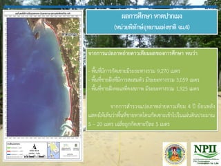 ผลการศึกษาหาดปากเมง
(หน่วยพิทักษ์อุทยานแห่งชาติ จม.4)
จากการแปลภาพถ่ายดาวเทียมผลของการศึกษา พบว่า
- พื้นที่มีการกัดเซาะมีระยะทางรวม 9,270 เมตร
- พื้นที่ชายฝั่งที่มีการสะสมตัว มีระยะทางรวม 3,059 เมตร
- พื้นที่ชายฝั่งทะเลที่คงสภาพ มีระยะทางรวม 1,925 เมตร
จากการส้ารวจแปลภาพถ่ายดาวเทียม 4 ปี ย้อนหลัง
แสดงให้เห็นว่าพื้นที่ชายหาดโดนกัดเซาะเข้าไปในแผ่นดินประมาณ
5 – 20 เมตร เฉลี่ยถูกกัดเซาะปีละ 5 เมตร
 