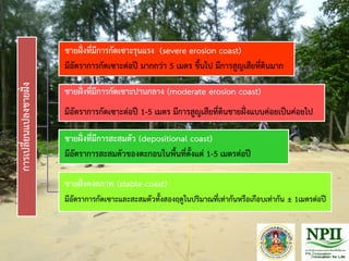 การเปลี่ยนแปลงชายฝั่ง
ชายฝั่งที่มีการกัดเซาะรุนแรง (severe erosion coast)
มีอัตราการกัดเซาะต่อปี มากกว่า 5 เมตร ขึ้นไป มีการสูญเสียที่ดินมาก
ชายฝั่งที่มีการกัดเซาะปานกลาง (moderate erosion coast)
มีอัตราการกัดเซาะต่อปี 1-5 เมตร มีการสูญเสียที่ดินชายฝั่งแบบค่อยเป็นค่อยไป
ชายฝั่งที่มีการสะสมตัว (depositional coast)
มีอัตราการสะสมตัวของตะกอนในพื้นที่ตั้งแต่ 1-5 เมตรต่อปี
ชายฝั่งคงสภาพ (stable coast)
มีอัตราการกัดเซาะและสะสมตัวทั้งสองฤดูในปริมาณที่เท่ากันหรือเกือบเท่ากัน ± 1เมตรต่อปี
 