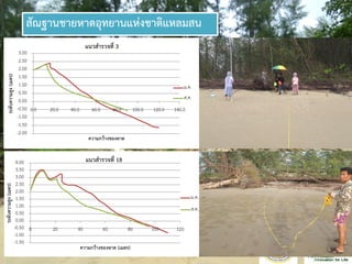 สัณฐานชายหาดอุทยานแห่งชาติแหลมสน
-2.00
-1.50
-1.00
-0.50
0.00
0.50
1.00
1.50
2.00
2.50
3.00
0.0 20.0 40.0 60.0 80.0 100.0 120.0 140.0
ระดับความสูง(เมตร)
ความกว้างของหาด
แนวสารวจที่ 3
ม.ค.
ส.ค.
-1.50
-1.00
-0.50
0.00
0.50
1.00
1.50
2.00
2.50
3.00
3.50
4.00
0 20 40 60 80 100 120
ระดับความสูง(เมตร)
ความกว้างของหาด (เมตร)
แนวสารวจที่ 18
ม.ค.
ส.ค.
 