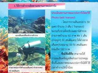 1.วิธีการสารวจติดตามสถานภาพปะการัง
ประเมินสถานภาพแนวปะการังโดยวิธี
Photo belt transect
- โดยการวางเส้นเทปยาว 30
เมตร จานวน 3 เส้น ( Transect)
ขนานกับชายฝั่งบริเวณสถานีสารวจ
ถ่ายภาพจานวน 60 ภาพ ต่อ 1 เส้น
(ถ่ายทุกๆ 50 เซนติเมตร) ให้ห่างจาก
เส้นเทปประมาณ 50-70 เซนติเมตร
รวมเป็น 180 ภาพ
ซึ่งมีข้อดีคือ สามารถให้
รายละเอียดข้อมูลสัดส่วนการปกคลุม
พื้นที่และสภาพของแนวปะการังได้ดี ใช้
เวลาทางานใต้น้าน้อย
แนวเส้นเทปที่จะทาการสารวจ
ถ่ายภาพปะการังด้านบนเส้นเทป ห่างจากเทป
50 เซนติเมตร
 