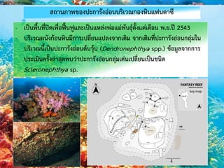 สถานภาพของปะการังอ่อนบริเวณกองหินแฟนตาซี
- เป็นพื้นที่ปิดเพื่อฟื้นฟูและเป็นแหล่งพ่อแม่พันธุ์ตั้งแต่เดือน พ.ย.ปี 2543
- บริเวณผนังก้อนหินมีการเปลี่ยนแปลงจากเดิม จากเดิมที่ปะการังอ่อนกลุ่มใน
บริเวณนี้เป็นปะการังอ่อนต้นวุ้น (Dendronephthya spp.) ข้อมูลจากการ
ประเมินครั้งล่าสุดพบว่าปะการังอ่อนกลุ่มเด่นเปลี่ยนเป็นชนิด
Scleronephthya sp.
 