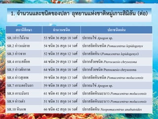 สถานีศึกษา จานวนชนิด ปลาชนิดเด่น
SR.1อ่าวไม้งาม 53 ชนิด 36 สกุล 18 วงศ์ ปลาอมไข่ Apogon sp.
SR.2 อ่าวแม่ยาย 54 ชนิด 26 สกุล 14 วงศ์ ปลาสลิดหินชนิด Pomacentruslepidogenys
SR.3 อ่าวจาก 52 ชนิด 35 สกุล 12 วงศ์ ปลาสลิดหิน (Pomacentrus lepidogenys)
SR.4 เกาะสต๊อค 44 ชนิด 29 สกุล 13 วงศ์ ปลากล้วยชนิด Pterocaesio chrysozona
SR.5 อ่าวผักกาด 64 ชนิด 38 สกุล 18 วงศ์ ปลากล้วยชนิด Pterocaesio chrysozona
SR.6 อ่าวสุเทพ 59 ชนิด 36 สกุล 13 วงศ์ ปลาสลิดหินชนิด Pomacentrus moluccensis
SR.7 เกาะตอรินลา 59 ชนิด 38 สกุล 15 วงศ์ ปลาอมไข่ Apogon sp.
SR.8 เกาะมังกร 61 ชนิด 41 สกุล 14 วงศ์ ปลาสลิดหินมะนาว Pomacentrus moluccensis
SR.9 อ่าวเต่า 51 ชนิด 31 สกุล 14 วงศ์ ปลาสลิดหินมะนาว Pomacentrus moluccensis
SR.10 หินแพ 66 ชนิด 42 สกุล 16 วงศ์ ปลาสลิดหิน Neopomacentrus anabatoides
1. จานวนและชนิดของปลา อุทยานแห่งชาติหมู่เกาะสิมิลัน (ต่อ)
 