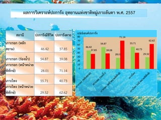 ผลการวิเคราะห์ปะการัง อุทยานแห่งชาติหมู่เกาะลันตา พ.ศ. 2557
สถานี ปะการังมีชีวิต ปะการังตาย
เกาะรอก (หลัก
สยาม) 46.42 37.85
เกาะรอก (ร่องน้า) 54.87 39.08
เกาะรอก (หน้าหน่วย
พิทักษ์) 28.01 71.14
เกาะไหง 55.71 40.73
เกาะไหง (หน้าหน่วย
พิทักษ์) 29.52 62.62
46.42
54.87
28.01
55.71
29.52
37.85 39.08
71.14
40.73
62.62
0
10
20
30
40
50
60
70
80
เปอร์เซนต์ปะการัง
 