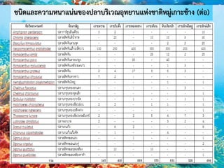 ชนิดและความหนาแน่นของปลาบริเวณอุทยานแห่งชาติหมู่เกาะช้าง (ต่อ)
 