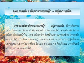 อุทยานแห่งชาติเขาแหลมหญ้า – หมู่เกาะเสม็ด มีการติดตาม
ปะการังฟอกขาว 8 สถานี คือ อ่าวพร้าว (เกาะเสม็ด) อ่าวปลาต้ม (เกาะ
เสม็ด) อ่าวกิ่วหน้าใน (เกาะเสม็ด) อ่าวกิ่วหน้านอก (เกาะเสม็ด) อ่าวลุงดา
(เกาะเสม็ด) เกาะจันทร์ เกาะกุฎี และเกาะค้างคาว (กลุ่มเกาะกุฎี) ซึ่งการ
ปกคลุมของปะการังมากที่สุด ร้อยละ 54 และ 42 คือบริเวณ เกาะจันทร์
และอ่าวพร้าว (เกาะเสม็ด)
อุทยานแห่งชาติเขาแหลมหญ้า – หมู่เกาะเสม็ด
 
