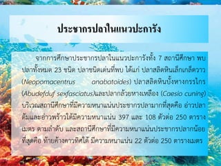 ประชากรปลาในแนวปะการัง
จากการศึกษาประชากรปลาในแนวปะการังทั้ง 7 สถานีศึกษา พบ
ปลาทั้งหมด 23 ชนิด ปลาชนิดเด่นที่พบ ได้แก่ ปลาสลิดหินเล็กเกล็ดวาว
(Neopomacentrus anabatoides) ปลาสลิดหินบั้งหางกรรไกร
(Abudefduf sexfasciatus)และปลากล้วยหางเหลือง (Caesio cuning)
บริเวณสถานีศึกษาที่มีความหนาแน่นประชากรปลามากที่สุดคือ อ่าวปลา
ต้มและอ่าวพร้าวใต้มีความหนาแน่น 397 และ 108 ตัวต่อ 250 ตาราง
เมตร ตามลาดับ และสถานีศึกษาที่มีความหนาแน่นประชากรปลากน้อย
ที่สุดคือ ท้ายค้างคาวทิศใต้ มีความหนาแน่น 22 ตัวต่อ 250 ตารางเมตร
 