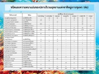 ชนิดและความหนาแน่นของปลาบริเวณอุทยานแห่งชาติหมู่เกาะชุมพร (ต่อ)
 