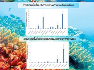 การปกคลุมพื้นที่ของปะการังบริเวณเกาะสามเส้าทิศตะวันตก
0
2
4
6
8
10
12
14
16
18
20
การปกคลุมพื้นที่ของปะการัง(ร้อยละ)
การปกคลุมพื้นที่ของปะการังบริเวณเกาะสามเส้าทิศตะวันออก
 