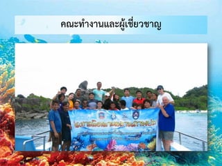 คณะทางานและผู้เชี่ยวชาญ
 