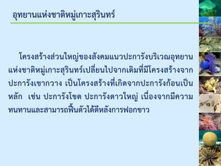 อุทยานแห่งชาติหมู่เกาะสุรินทร์
โครงสร้างส่วนใหญ่ของสังคมแนวปะการังบริเวณอุทยาน
แห่งชาติหมู่เกาะสุรินทร์เปลี่ยนไปจากเดิมที่มีโครงสร้างจาก
ปะการังเขากวาง เป็นโครงสร้างที่เกิดจากปะการังก้อนเป็น
หลัก เช่น ปะการังโขด ปะการังดาวใหญ่ เนื่องจากมีความ
ทนทานและสามารถฟื้นตัวได้ดีหลังการฟอกขาว
 