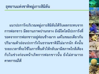 อุทยานแห่งชาติหมู่เกาะสิมิลัน
แนวปะการังบริเวณหมู่เกาะสิมิลันได้รับผลกระทบจาก
การฟอกขาว มีสถานภาพปานกลาง ยังมีโคโลนีปะการังที่
รอดจากการฟอกขาวอยู่ค่อนข้างมาก แต่ในขณะเดียวกัน
ปริมาณตัวอ่อนปะการังในธรรมชาติมีไม่มากนัก ดังนั้น
ระยะเวลาที่จะใช้ในการฟื้นตัวให้กลับมามีสภาพใกล้เคียง
กับในช่วงก่อนหน้าเกิดการฟอกขาวนั้น ยังไม่สามารถ
คาดการณ์ได้
 