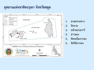 1. หาดทรายขาว
2. หินงาม
3. หน้าหน่วยราวี
4. อ่าวสอง
5. ทิศเหนือเกาะดง
6. ทิศใต้เกาะดง
 