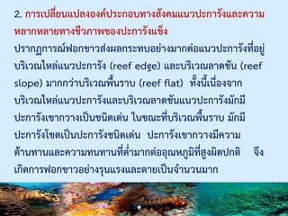2. การเปลี่ยนแปลงองค์ประกอบทางสังคมแนวปะการังและความ
หลากหลายทางชีวภาพของปะการังแข็ง
ปรากฏการณ์ฟอกขาวส่งผลกระทบอย่างมากต่อแนวปะการังที่อยู่
บริเวณไหล่แนวปะการัง (reef edge) และบริเวณลาดชัน (reef
slope) มากกว่าบริเวณพื้นราบ (reef flat) ทั้งนี้เนื่องจาก
บริเวณไหล่แนวปะการังและบริเวณลาดชันแนวปะการังมักมี
ปะการังเขากวางเป็นชนิดเด่น ในขณะที่บริเวณพื้นราบ มักมี
ปะการังโขดเป็นปะการังชนิดเด่น ปะการังเขากวางมีความ
ต้านทานและความทนทานที่ต่ามากต่ออุณหภูมิที่สูงผิดปกติ จึง
เกิดการฟอกขาวอย่างรุนแรงและตายเป็นจานวนมาก
 