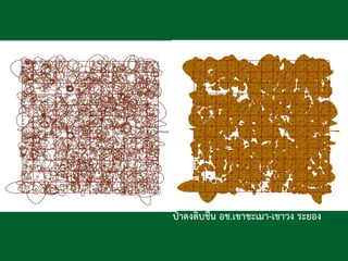 ป่าดงดิบชื้น อช.เขาชะเมา-เขาวง ระยอง
 