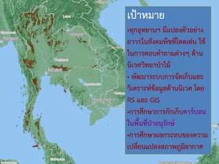 เป้าหมาย
•ทุกอุทยานฯ มีแปลงตัวอย่าง
ถาวรในสังคมพืชที่โดดเด่น ใช้
ในการตอบคาถามต่างๆ ด้าน
นิเวศวิทยาป่าไม้
• พัฒนาระบบการจัดเก็บและ
วิเคราะห์ข้อมูลด้านนิเวศ โดย
RS และ GIS
•การศึกษาการกักเก็บคาร์บอน
ในพื้นที่ป่าอนุรักษ์
•การศึกษาผลกระทบของความ
เปลี่ยนแปลงสภาพภูมิอากาศ
 