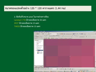 2. สัมพันธ์กับขนาด pixel ในภาพถ่ายดาวเทียม
Landsat 5 TM มีรายละเอียดภาพ 30 เมตร
SPOT มีรายละเอียดภาพ 15 เมตร
THEOS มีรายละเอียดภาพ 15 เมตร
ขนาดของแปลงตัวอย่าง 120 * 120 ตารางเมตร (1.44 Ha)
 