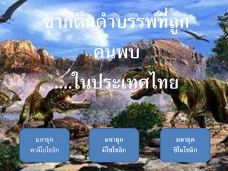 ซากดึกดาบรรพ์ที่ถูก
ค้นพบ
....ในประเทศไทย
มหายุค
พาลีโอโซอิก
มหายุค
มีโซโซอิก
มหายุค
ซีโนโซอิก
 