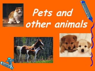 Pets and
other animals
 