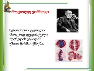 რუდოლფ ვირხოვი
ნებისმიერი უჯრედი
მხოლოდ დედისეული
უჯრედის გაყოფის
გზით წარმოიქმნება.
 