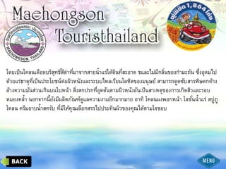 โดยเป็นโคลนเดือดบริสุทธิ์สีดาที่มาจากสายน้าแร่ใต้ดินที่สะอาด ชและไม่มีกลิ่นของกามะถัน ซึ่งอุดมไป
ด้วยแร่ธาตุที่เป็นประโยชน์ต่อผิวหนังและระบบไหลเวียนโลหิตของมนุษย์ สามารถดูดซับสารพิษตกค้าง
ล้างความมันส่วนเกินบนใบหน้า สิ่งสกปรกที่อุดตันตามผิวหนังอันเป็นสาเหตุของการเกิดสิวและรอบ
หมองคล้า นอกจากนี้ยังมีผลิตภัณฑ์ดูแลความงามอีกมากมาย อาทิ โคลนผงพอกหน้า โลชั่นน้าแร่ สบู่ภู
โคลน ครีมอาบน้าสครับ ที่มีให้คุณเลือกสรรไปประทินผิวของคุณได้ตามใจชอบ
 