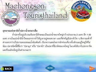 อุทยานแห่งชาติถ้าปลา-น้าตกผาเสื่อ
ถ้าปลาตั้งอยู่บริเวณเชิงเขามีลักษณะเป็นแอ่งน้าขนาดใหญ่กว้างประมาณ 2 เมตร ลึก 1.50
เมตร ภายในแอ่งน้ามีน้าไหลออกจากถ้าใต้ภูเขาอยู่ตลอดเวลา และที่สาคัญมีปลาตัวโต ๆ สีเทาอมฟ้าที่
ต่างแหวกว่ายไปมารอคอยขนมปังนับพันตัว เรียกความสนใจจากนักท่องเที่ยวทั้งเด็กและผู้ใหญ่ได้ไม่
น้อย ปลาชนิดนี้มีชื่อว่า "ปลามุง" หรือ "ปลาคัง" เป็นปลาที่มีเกล็ดขนาดใหญ่ ในวงศ์เดียวกับปลาคาร์พ
และถึงแม้จะมีอยู่เป็นจานวนมาก
 