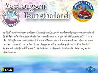 แต่ก็ไม่มีใครกล้าทาอันตราย เนื่องจากมีความเชื่อว่าเป็นปลาเจ้า หากใครนาไปรับประทานแล้วจะต้องมี
อันเป็นไป ส่วนใครที่สนใจจะมาสัมผัสกับความสดชื่นและชุ่มฉ่าของสายน้าก็เลี้ยวรถต่อมายัง "น้าตกผา
เสื่อ" ที่ตั้งอยู่ในเขตตาบลหมอกจาแป่ น้าตกแห่งนี้ไหลลงมาจากน้าตกแม่สะงาในพม่า เป็นน้าตกขนาด
กลางสูงประมาณ 10 เมตร กว้าง 15 เมตร ในฤดูฝนสายน้าตกจะปกคลุมเต็มหน้าผาหินกว้าง ซึ่งมี
ลักษณะคล้ายเสื่อปูลาด มีน้าตลอดปี โดยช่วงที่เหมาะสมในการไปท่องเที่ยว คือ เดือนกรกฎาคมถึง
เดือนกันยายน
 