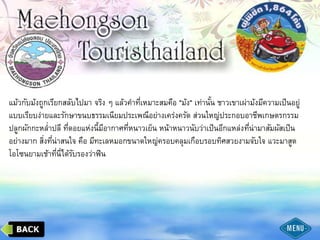 แม้วกับม้งถูกเรียกสลับไปมา จริง ๆ แล้วคาที่เหมาะสมคือ "ม้ง" เท่านั้น ชาวเขาเผ่าม้งมีความเป็นอยู่
แบบเรียบง่ายและรักษาขนบธรรมเนียมประเพณีอย่างเคร่งครัด ส่วนใหญ่ประกอบอาชีพเกษตรกรรม
ปลูกผักกะหล่าปลี ที่ดอยแห่งนี้มีอากาศที่หนาวเย็น หน้าหนาวนับว่าเป็นอีกแหล่งที่น่ามาสัมผัสเป็น
อย่างมาก สิ่งที่น่าสนใจ คือ มีทะเลหมอกขนาดใหญ่ครอบคลุมเกือบรอบทิศสวยงามจับใจ แวะมาสูด
โอโซนยามเช้าที่นี่ได้รับรองว่าฟิน
 