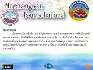 ทุ่งดอกบัวตอง
เป็นทุ่งดอกบัวตองสีเหลืองอร่ามที่อยู่ริมทางหลวงแผ่นดินหมายเลข 108 ตรงหลักกิโลเมตรที่
84 เขตตาบลแม่เหาะ ซึ่งเป็นที่ตั้งของศูนย์พัฒนาและสงเคราะห์ชาวเขา อีกทั้งยังเป็นเส้นทางหลวงสาย
ท่องเที่ยว เพื่อมุ่งสู่เมืองจังหวัดแม่ฮ่องสอนอีกด้วย เมื่อผ่านมาบริเวณนี้คุณจะตระการตาไปกับดอกบัว
ตองสีเหลืองสดที่บานสะพรั่งรายล้อมข้างทางยาวกว่า 2 กิโลเมตร จนอดใจไม่ไหวที่ต้องจอดแวะเก็บ
ภาพประทับใจ
 