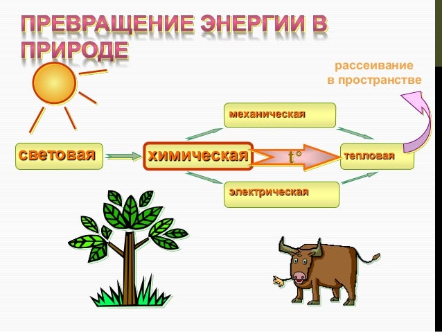 Схема передачи вещества и энергии