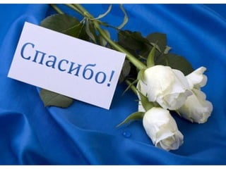 стиль жизни с экспресс карьера