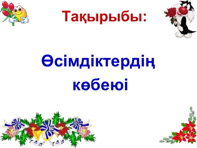 Машина туралы тақпақтар