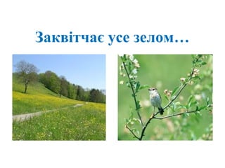 Заквітчає усе зелом…
 