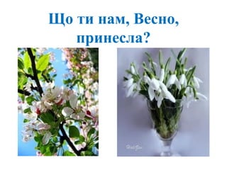 Що ти нам, Весно,
принесла?
 