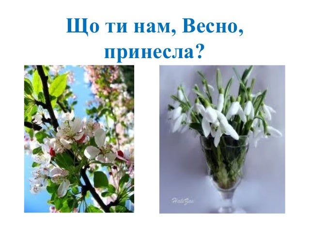 15 лютого - свято Стрітення