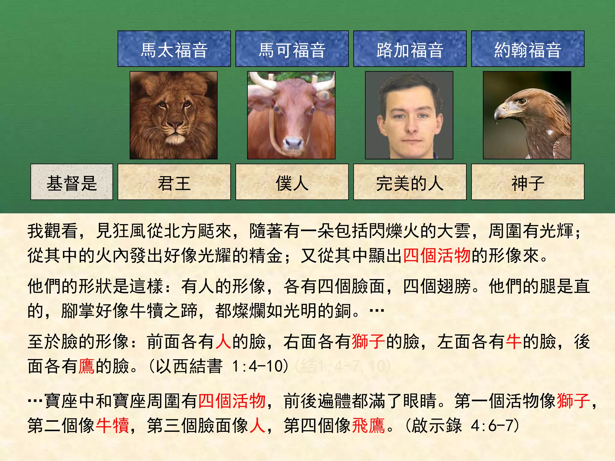 基督是 君王 僕人 完美的人 神子
我觀看，見狂風從北方颳來，隨著有一朵包括閃爍火的大雲，周圍有光輝；
從其中的火內發出好像光耀的精金；又從其中顯出四個活物的形像來。
他們的形狀是這樣：有人的形像，各有四個臉面，四個翅膀。他們的腿是直
的，腳掌好像牛犢之蹄，都燦爛如光明的銅。…
至於臉的形像：前面各有人的臉，右面各有獅子的臉，左面各有牛的臉，後
面各有鷹的臉。(以西結書 1:4-10)(結1:4-7,10)
…寶座中和寶座周圍有四個活物，前後遍體都滿了眼睛。第一個活物像獅子，
第二個像牛犢，第三個臉面像人，第四個像飛鷹。(啟示錄 4:6-7)
馬太福音 馬可福音 路加福音 約翰福音
 