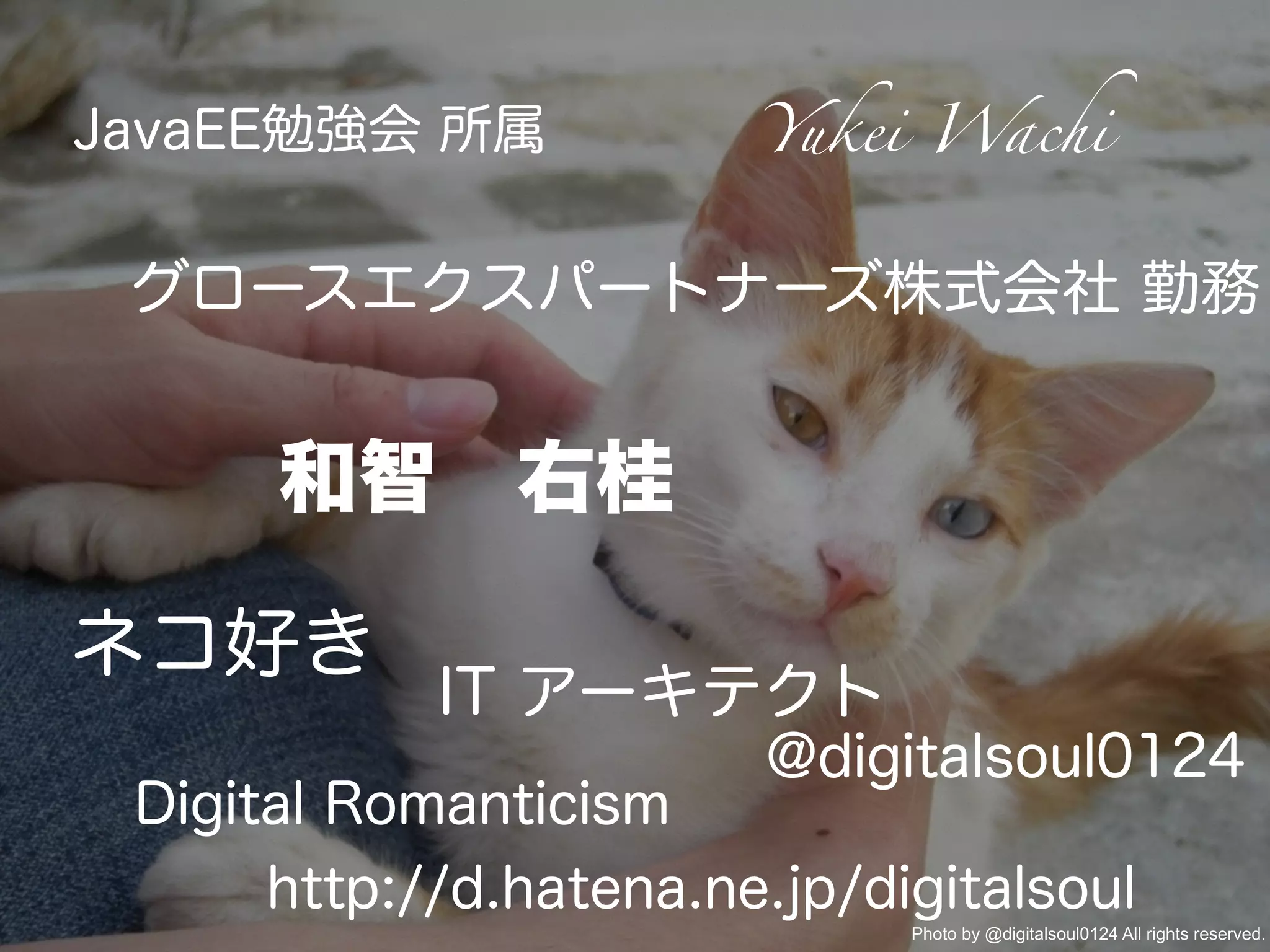 和智 右桂
JavaEE勉強会 所属
グロースエクスパートナーズ株式会社 勤務
Yukei Wachi
@digitalsoul0124
Digital Romanticism
http://d.hatena.ne.jp/digitalsoul
ネコ好き
Photo by @digitalsoul0124 All rights reserved.
IT アーキテクト
 