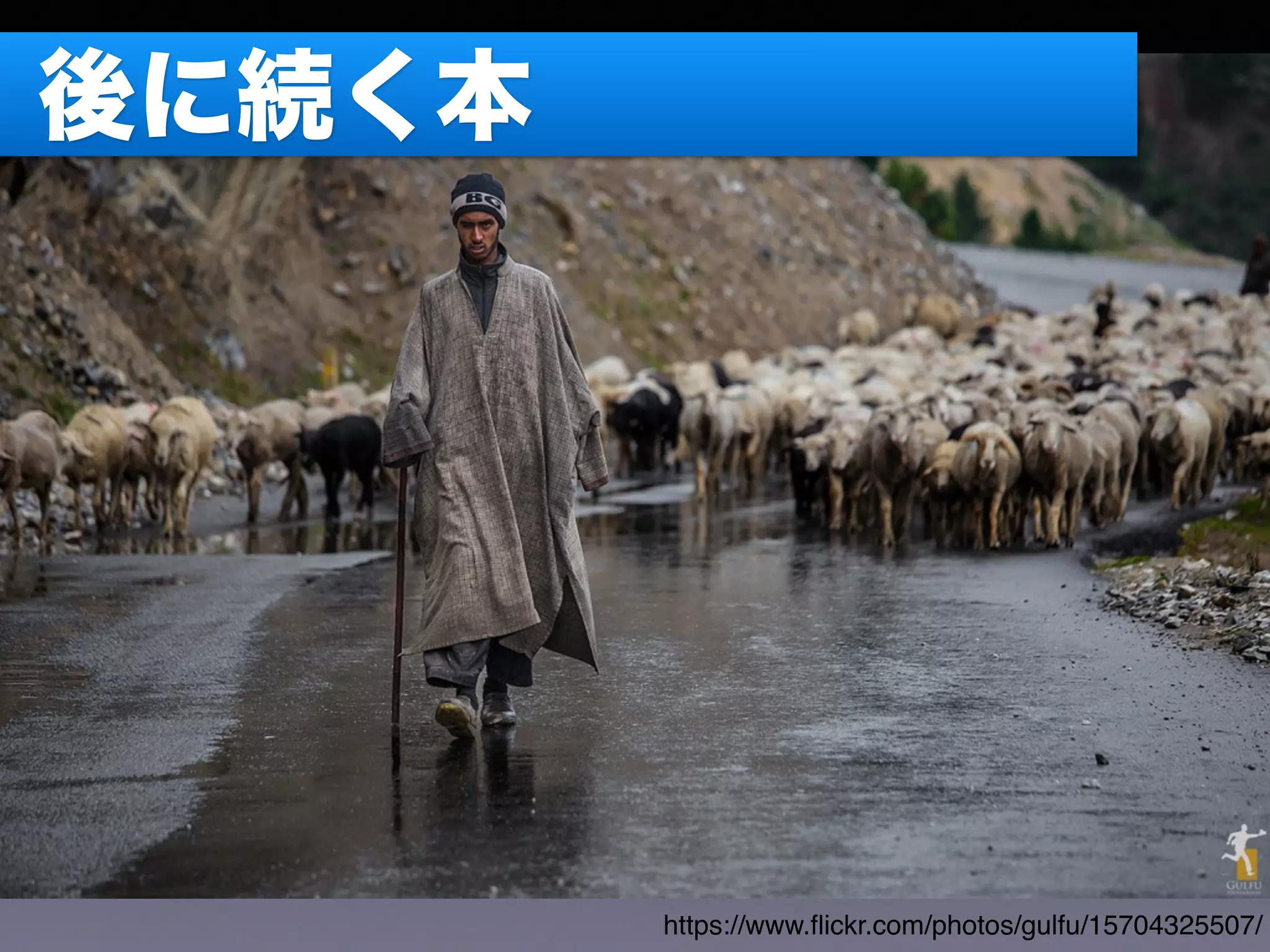 https://www.ﬂickr.com/photos/gulfu/15704325507/
後に続く本
 