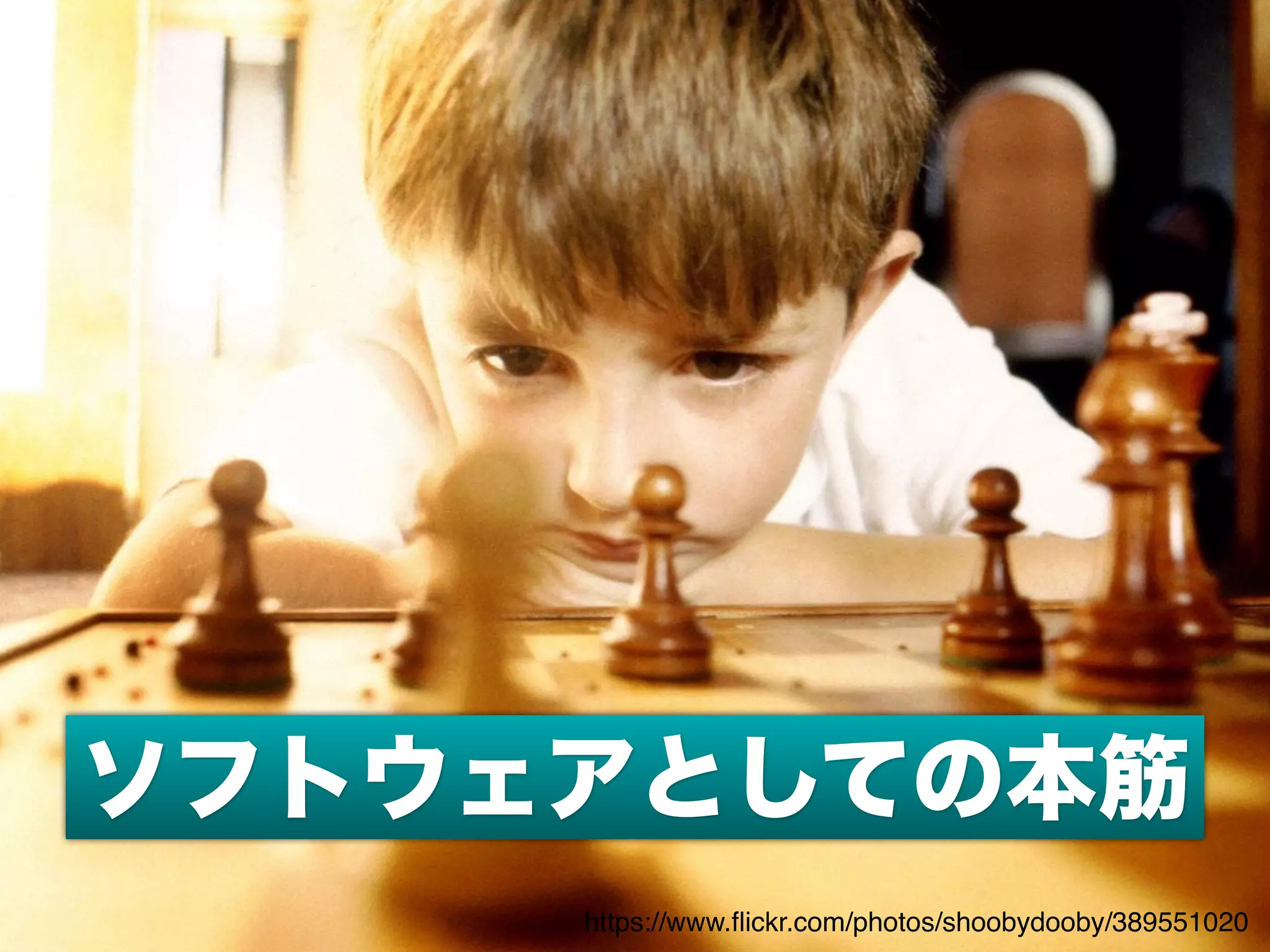 ソフトウェアとしての本筋
https://www.ﬂickr.com/photos/shoobydooby/389551020
 