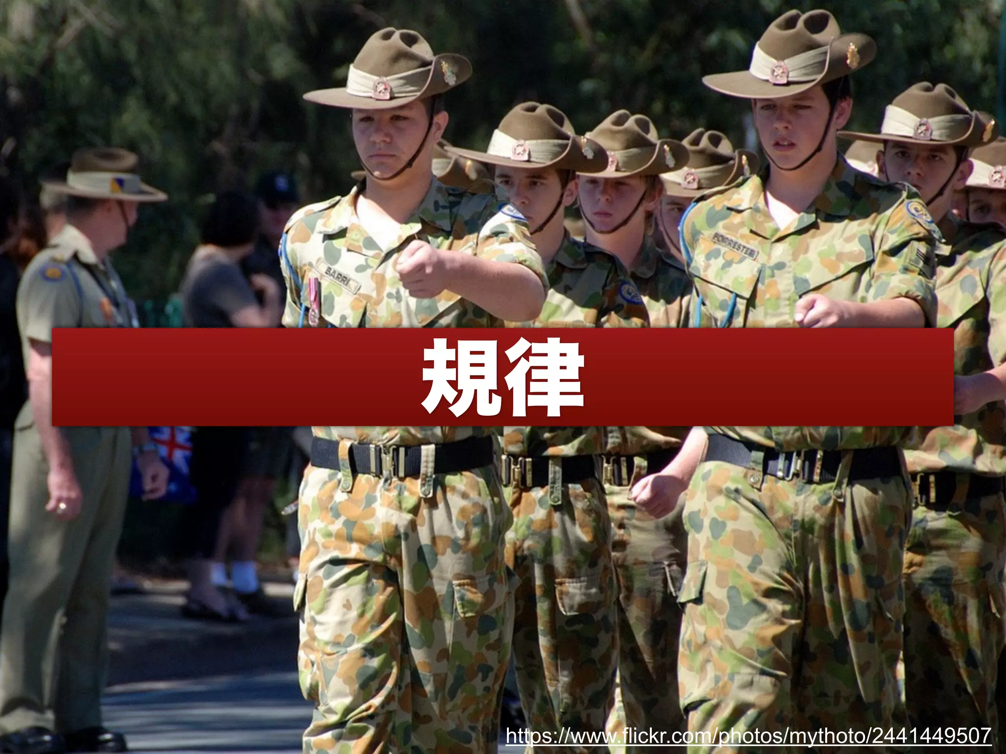 規律
https://www.flickr.com/photos/mythoto/2441449507
 