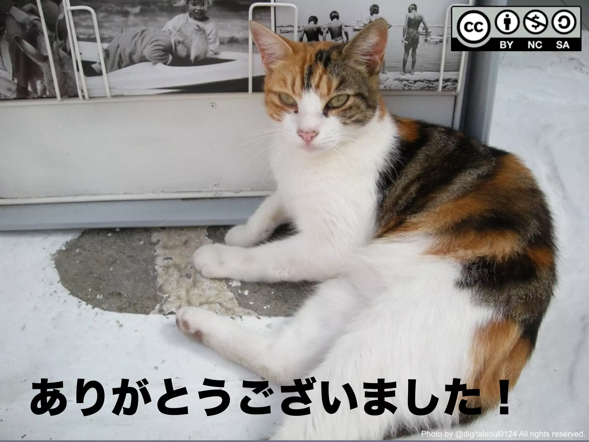 ありがとうございました！
Photo by @digitalsoul0124 All rights reserved.
 