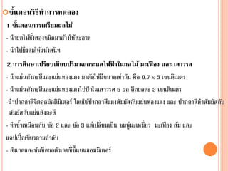 ขั้นตอนวิธีทาการทดลอง
1 ขั้นตอนการเตรียมผลไม้
- นาผลไม้ทั้งสองชนิดมาล้างให้สะอาด
- นาไปผึ่งลมให้แห้งสนิท
2 การศึกษาเปรียบเทียบปริมาณกระแสไฟฟ้ าในผลไม้ มะเฟือง และ เสาวรส
- นาแผ่นสังกะสีและแผ่นทองแดง มาตัดให้มีขนาดเท่ากัน คือ 0.7 x 5 เซนติเมตร
- นาแผ่นสังกะสีและแผ่นทองแดงไปปักในเสาวรส 5 ผล ลึกผลละ 2 เซนติเมตร
-นาปากกาดิจิตอลมัลติมิเตอร์ โดยใช้ปากกาสีแดงสัมผัสกับแผ่นทองแดง และ ปากกาสีดาสัมผัสกับ
สัมผัสกับแผ่นสังกะสี
- ทาซ้าเหมือนกับ ข้อ 2 และ ข้อ 3 แต่เปลี่ยนเป็น ชมพู่มะเหมี่ยว มะเฟือง ส้ม และ
แอปเปิ้ลเขียวตามลาดับ
- สังเกตและบันทึกผลตัวเลขที่ขึ้นบนแอมมิเตอร์
 